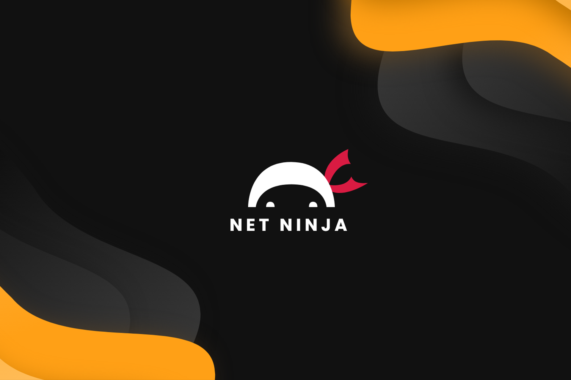 The Net Ninja Thumbnail